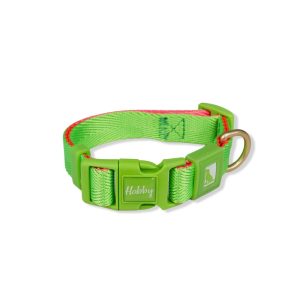 20mm Heavy Duty Dog Collar Green