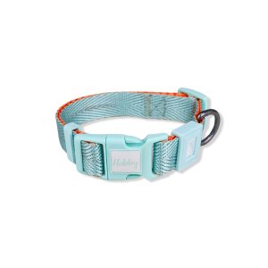 20mm Heavy Duty Dog Collar Mint Orange