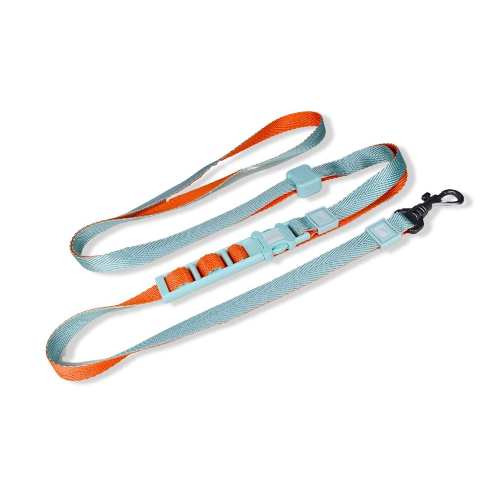 20mm Heavy Duty Dog Hands Free Dog Leash
