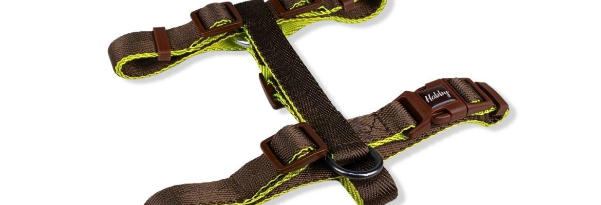 Dog Harnesses
