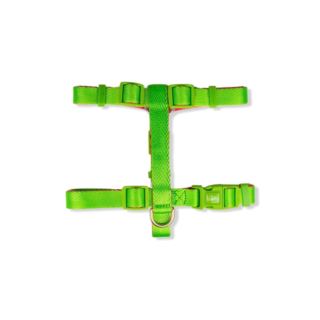 20mm Heavy Duty Dog Harness Neon Green