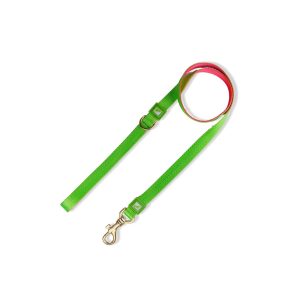 20mm Dog Leash Green