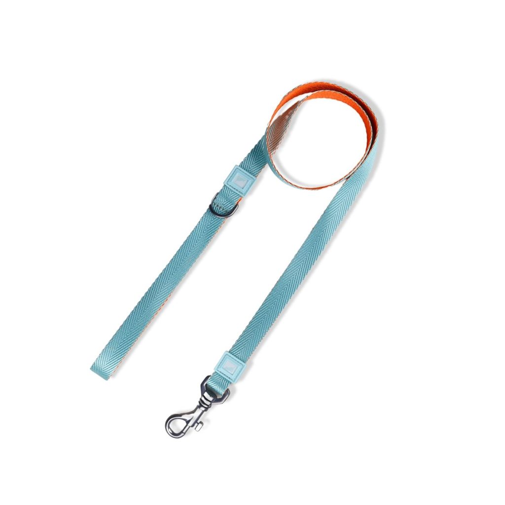 20mm Heavy Duty Dog Leash Mint-Orange