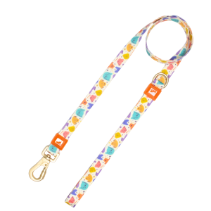 20mm Patterned Dog Leash Cute Dog