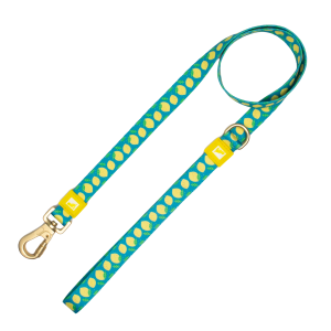20mm Patterned Dog Leash Lemon