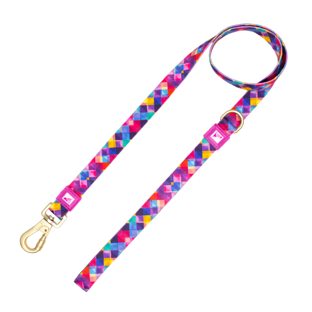 Dog Leash