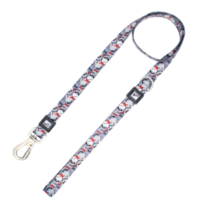 20mm Patterned Dog Leash Skull