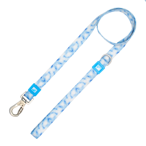 20mm Patterned Dog Leash Sky