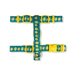 20mm Patterned Harness Lemon