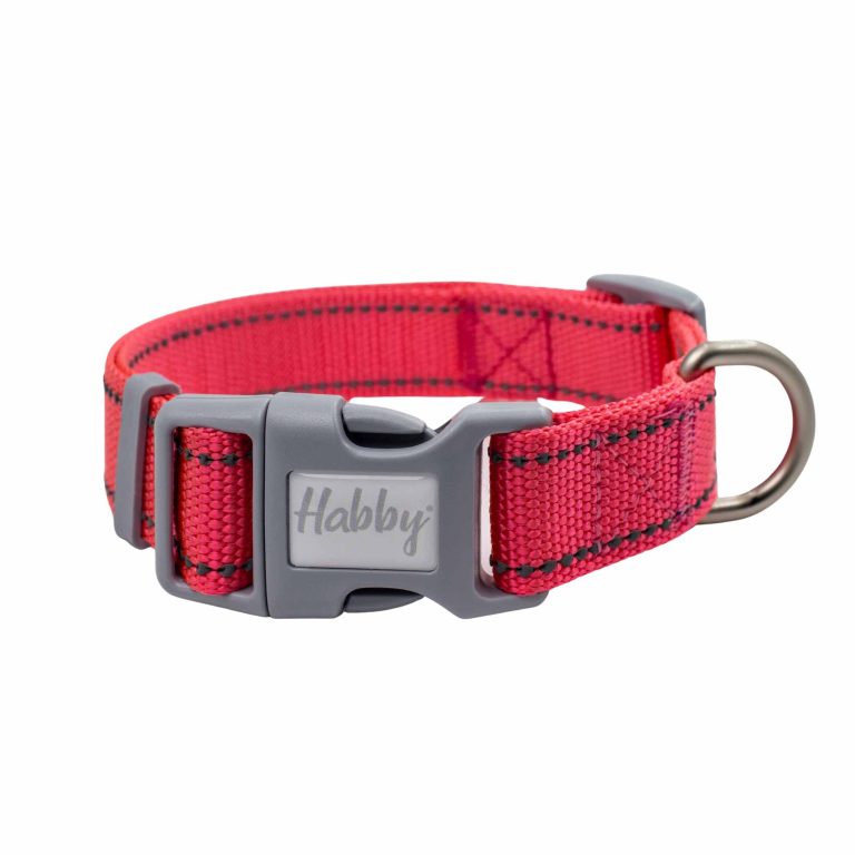 20mm Reflective Dog Collar Pink