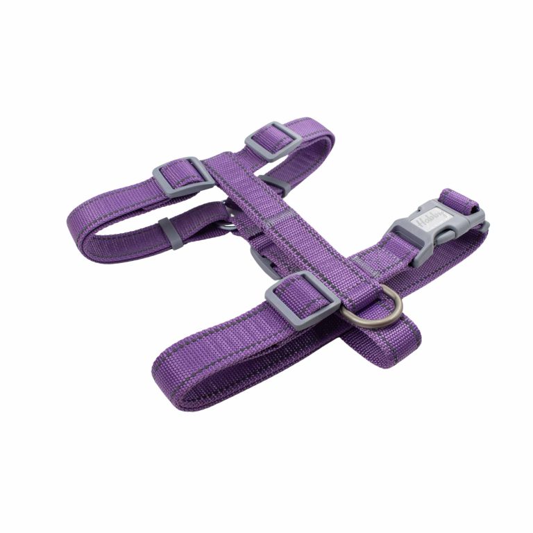 20mm_reflective_dog_harness_purple
