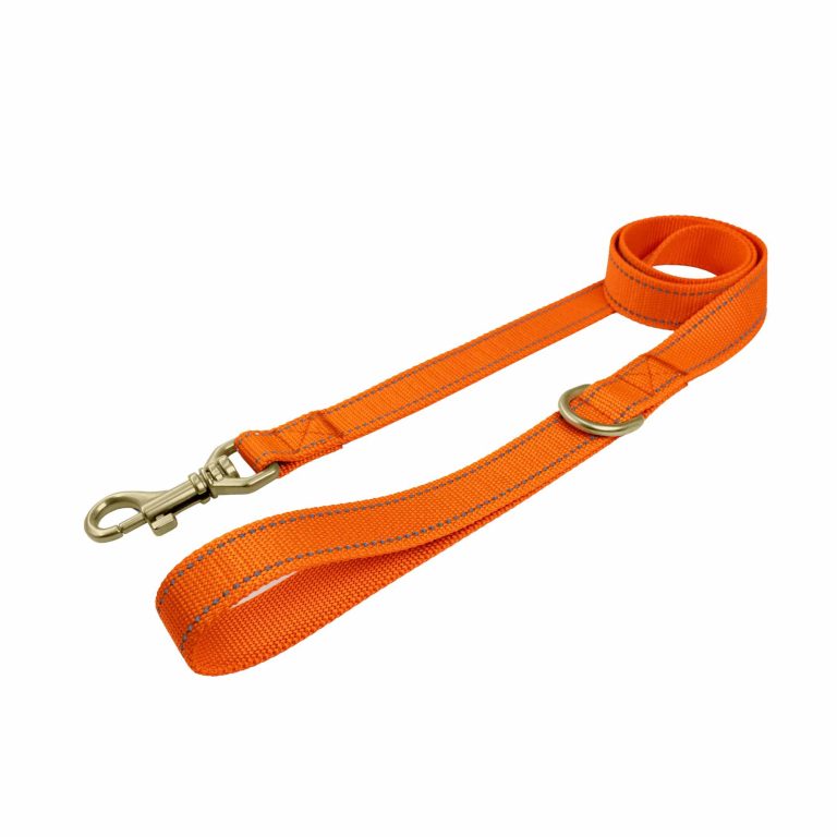 20mm Reflective Dog Leash Orange