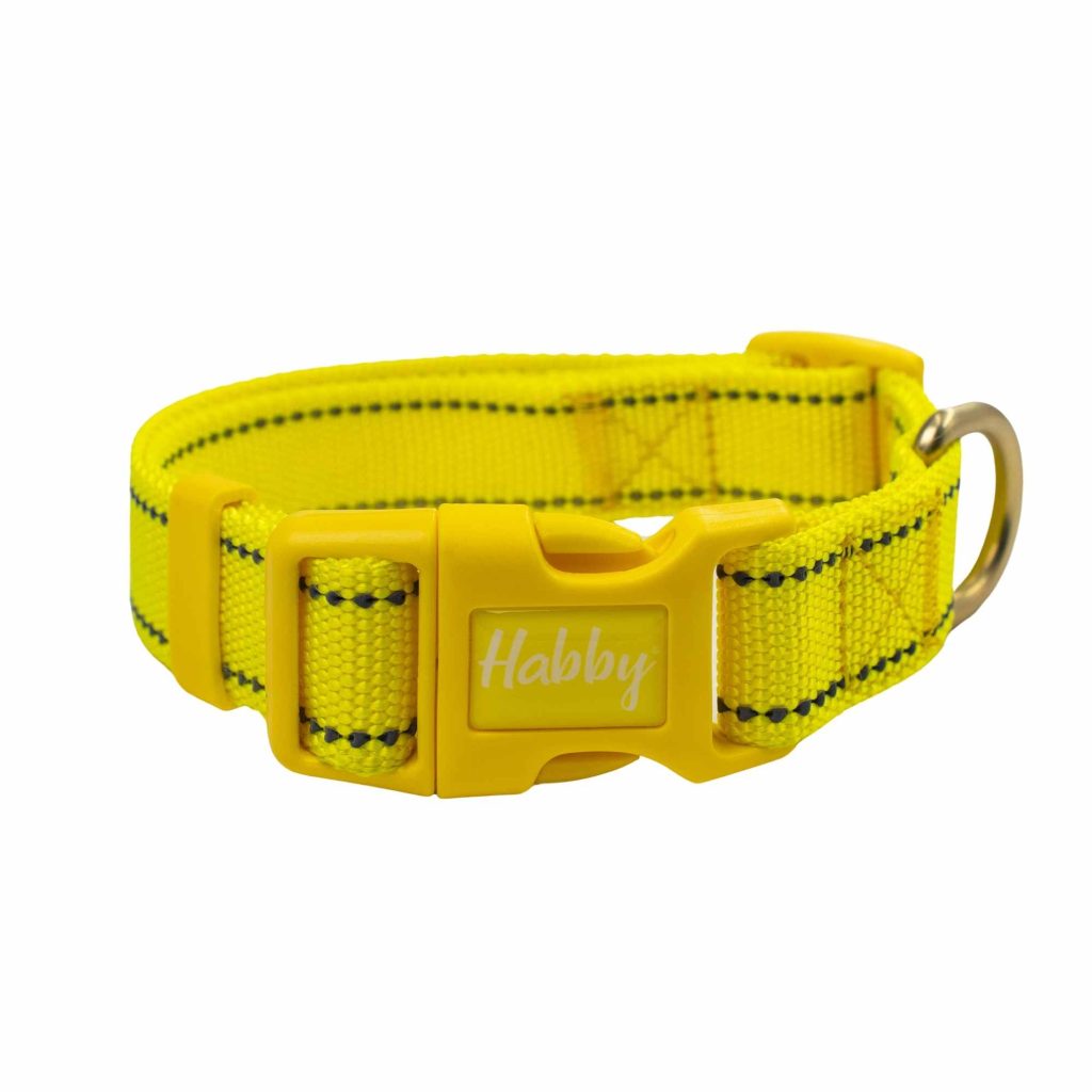 20mm Side Reflective Dog Collar Yellow