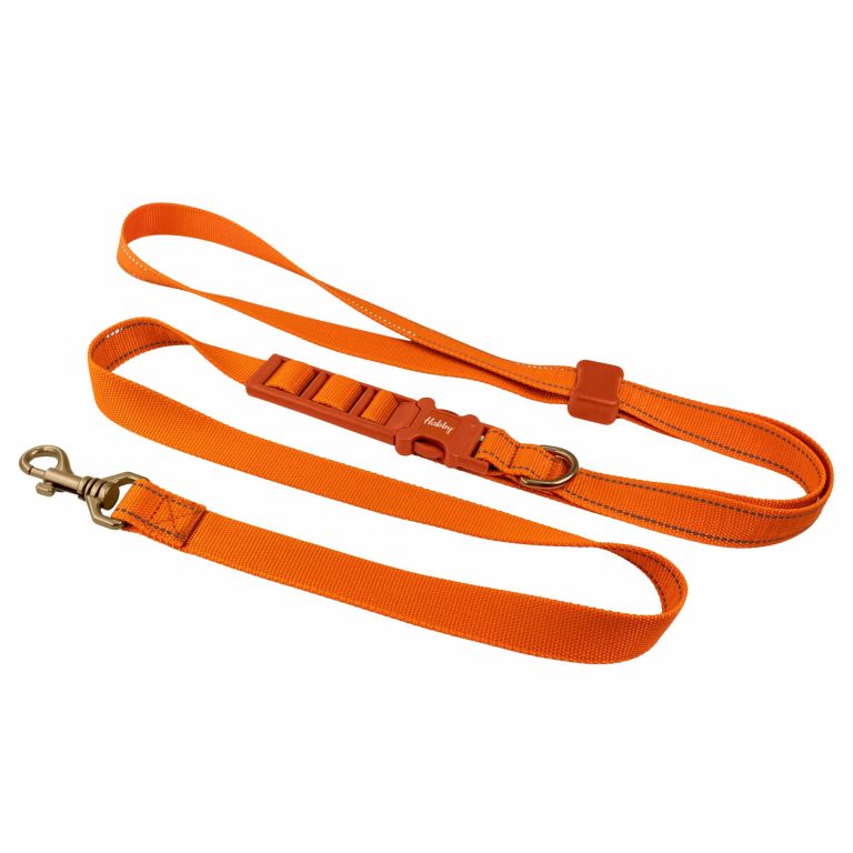 Side Reflective Dog Leash