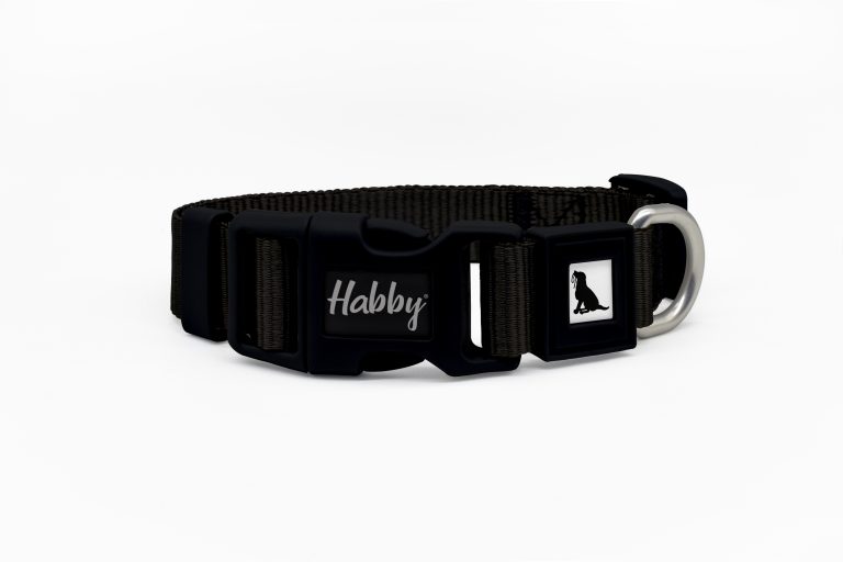 Black Dog Collar with Certificated