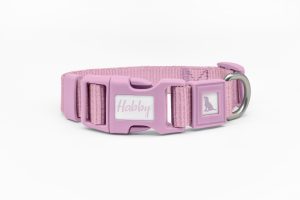 Polyproblene Dog Collar
