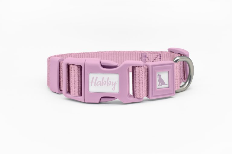 Polyproblene Dog Collar