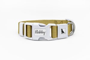 Basic Dog Collar