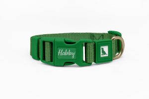 25mm Green Dog Collar
