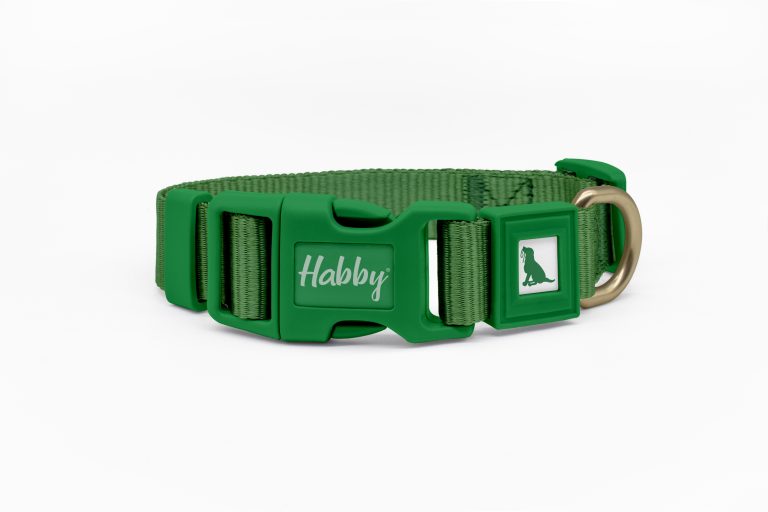 25mm Green Dog Collar