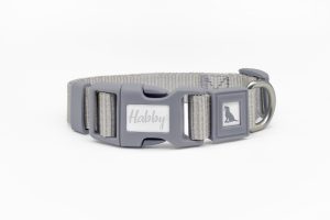 Basic Dog Collar Grey
