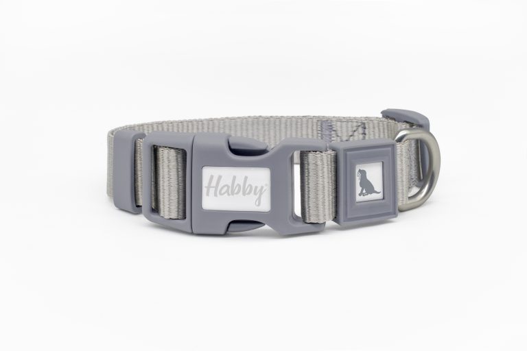 Basic Dog Collar Grey