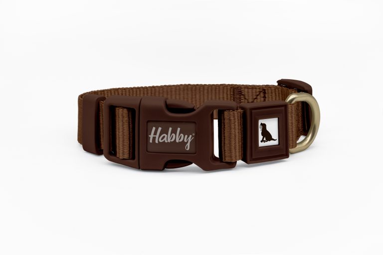 Basic Dog Collar Brown