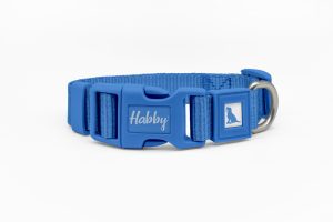 Basic Dog Collar Blue
