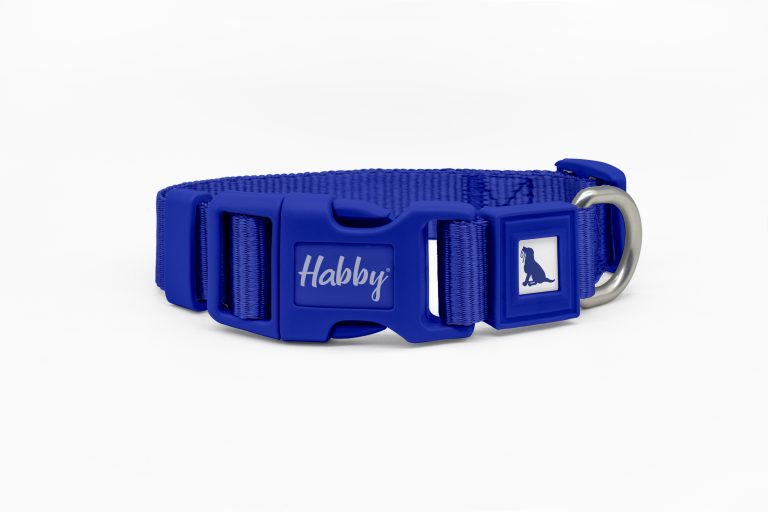Blue Dog Collar