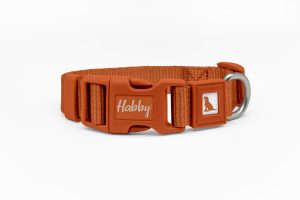 Orange Dog Collar