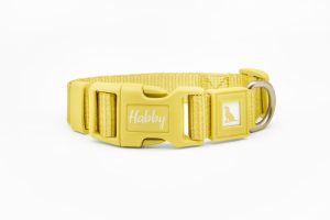 Butter Yellow Dog Collar