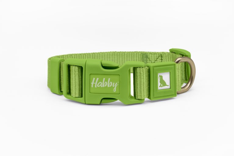 25mm Dog Collar