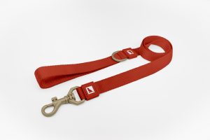 25mm Basic Dog Leash Red
