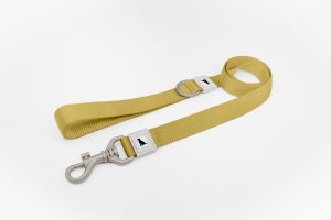 25mm Basic Dog Leash