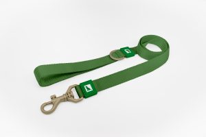 Basic Dog Leash Green