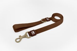 Basic Dog Leash Brown