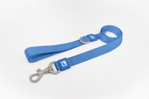 Basic Dog Leash Blue