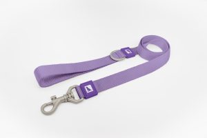 Purple Dog Leash