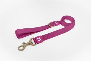 Pink Dog Leash