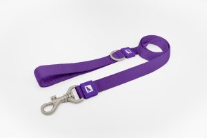 Purple Dog Leash