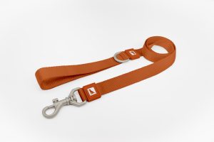 Orange Dog Leash