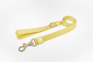Dog Leash