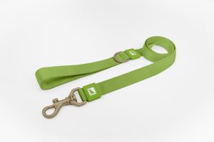 Green Leash