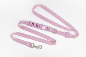 25mm Powder Hands Free Dog Leash