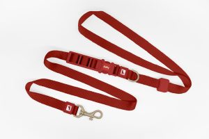 25mm Basic Hands Free Dog Leash