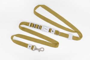 Basic Hands Free Dog Leash