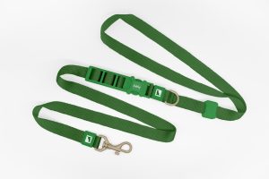 Basic Hands Free Dog Leash Green