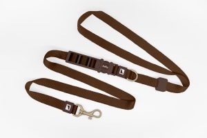 Brown Hands Free Dog Leash