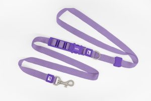 Polyproblene Hands Free Dog Leash