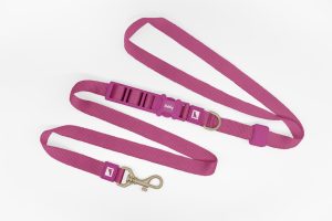 25mm Pink Hands Free Dog Leash
